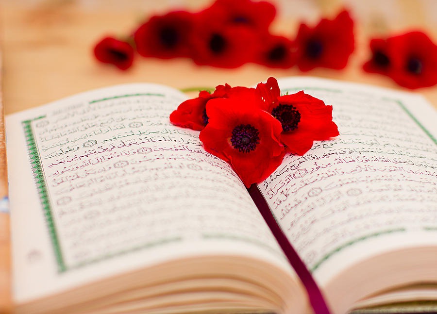 What is the Tafsir definition 4 2ed6e1f8 544d 4da5 8f25 815c9a297a48 1