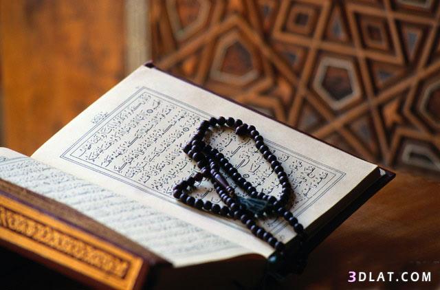 Learn noorani qaida online with aya institute 4 Learn noorani qaida online with aya institute